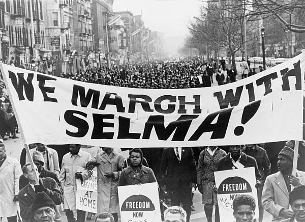 March with Selma King Factsheet