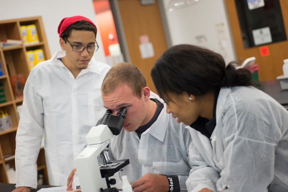 students working with microscope