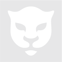 Placeholder: WIT Leopard Logo