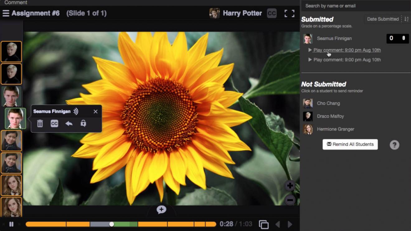 Voicethread grading demo