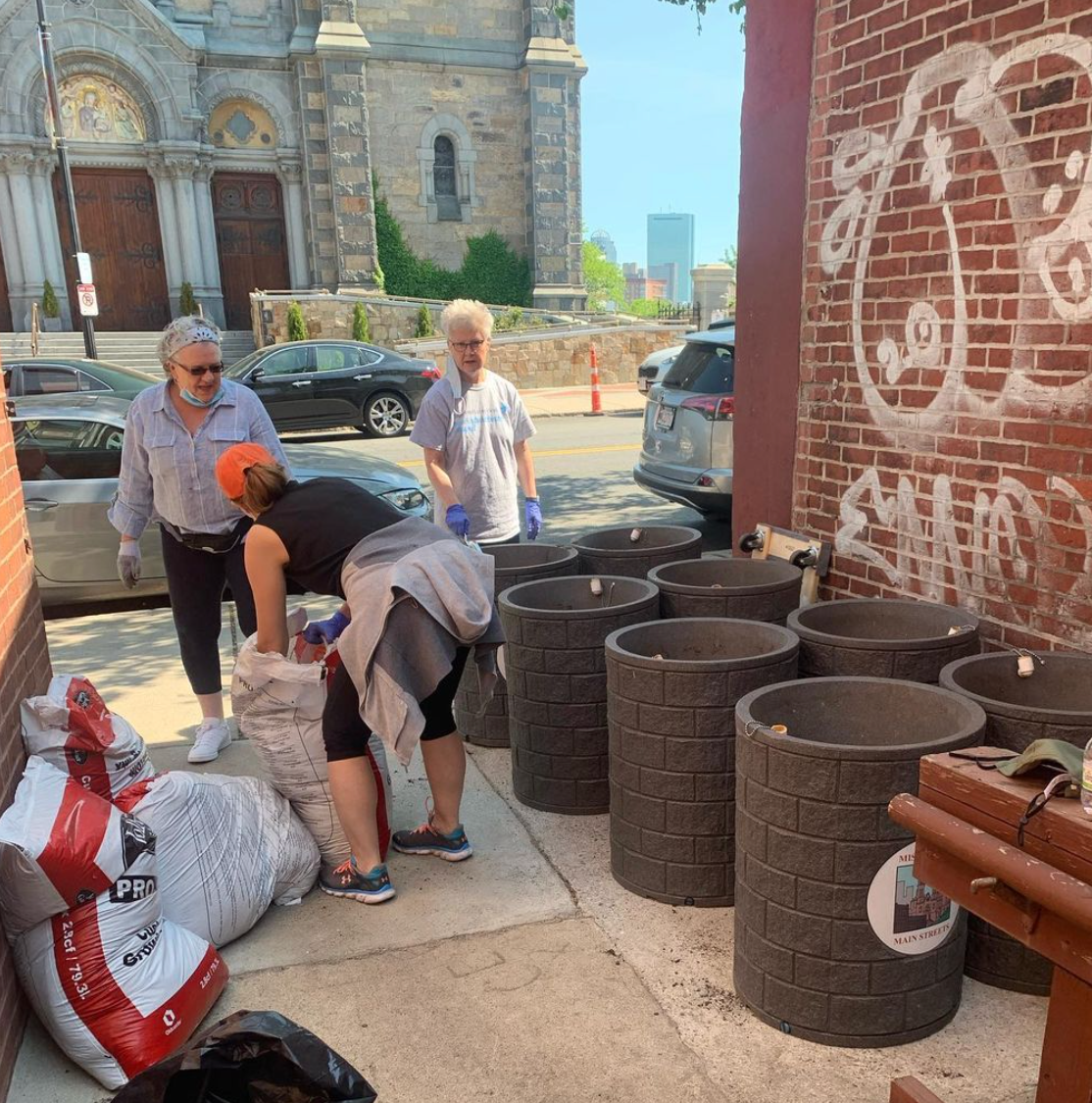 people putting flowers into planters