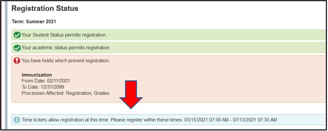 SSB9 Time Ticket Info