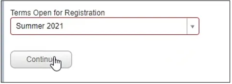SSB Open Terms