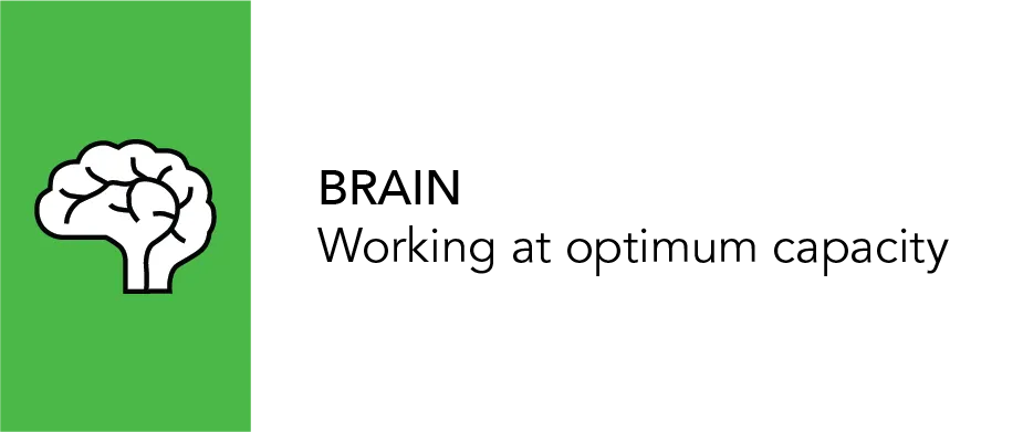 Brain