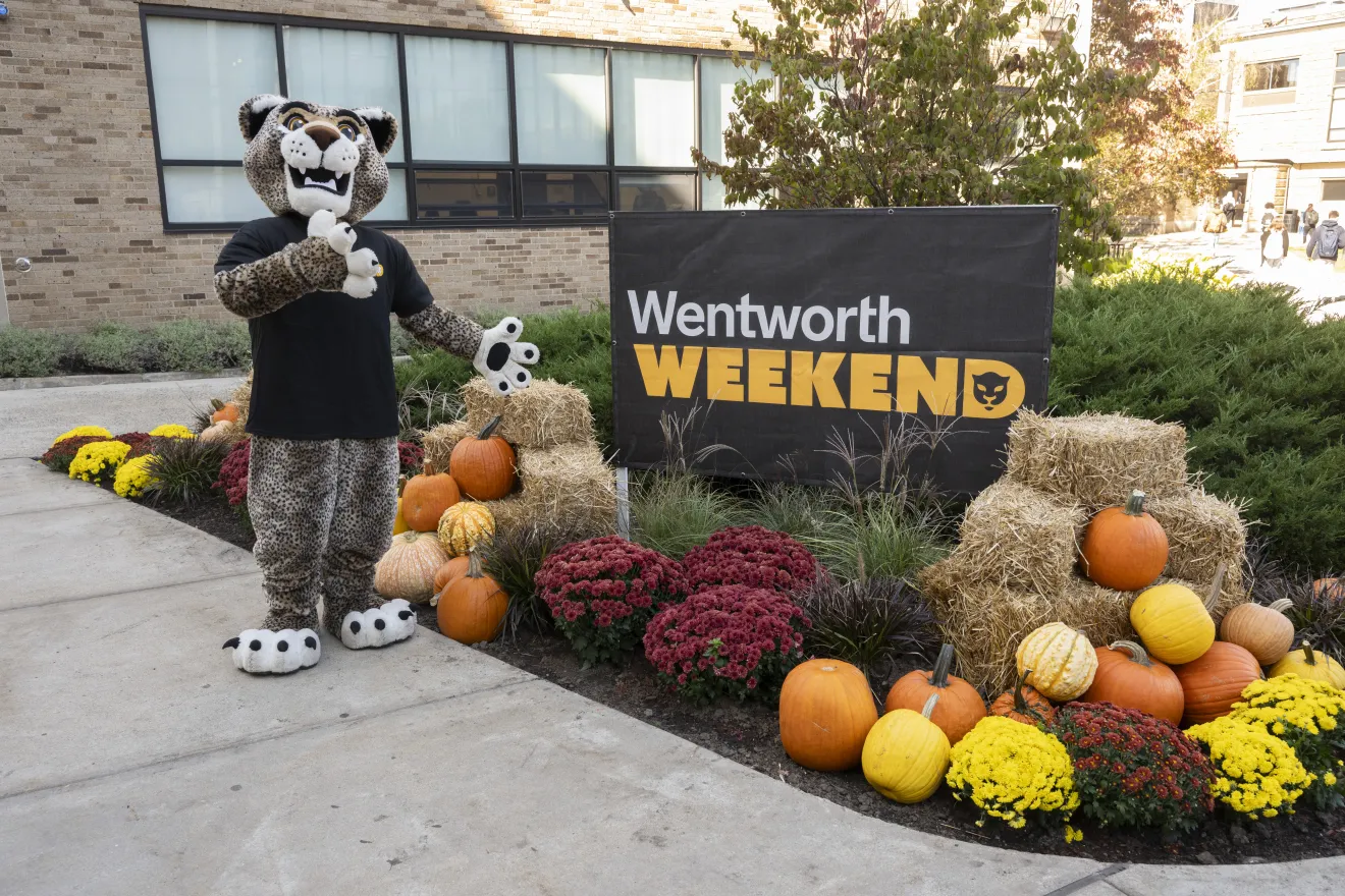Leopard Mascot wearing a black t-shirt standing next to fall flowers - mums in assorted colors, gold, maroon, orange and bales of hay