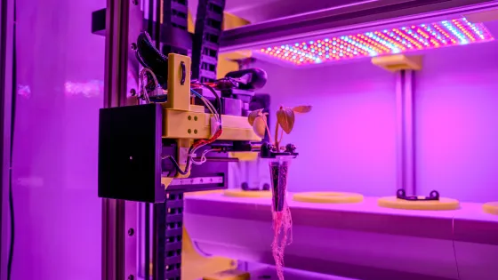 a vertical farm device showing a growing carrot