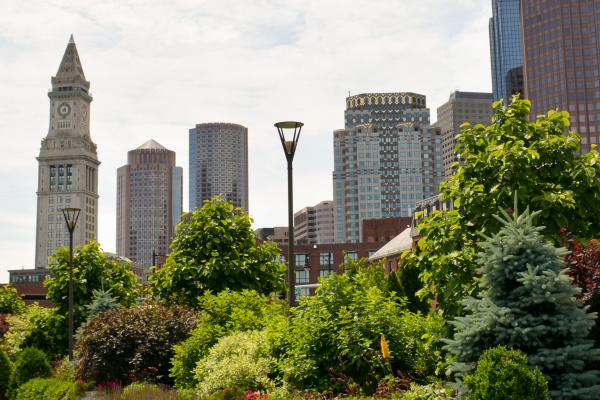 A few iconic Boston buildings pictured behind a garden