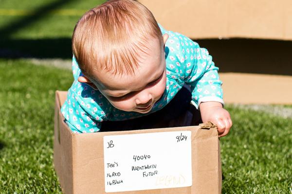 Baby crawls into cardboard box.