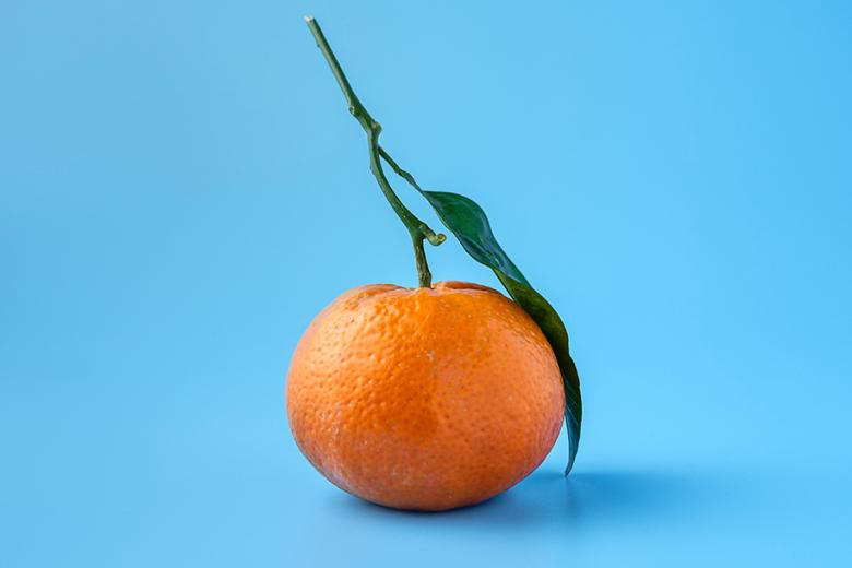 An orange on a blue background