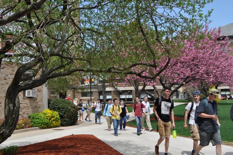 students walking through the wentworth quad with flowering trees scattered throughout