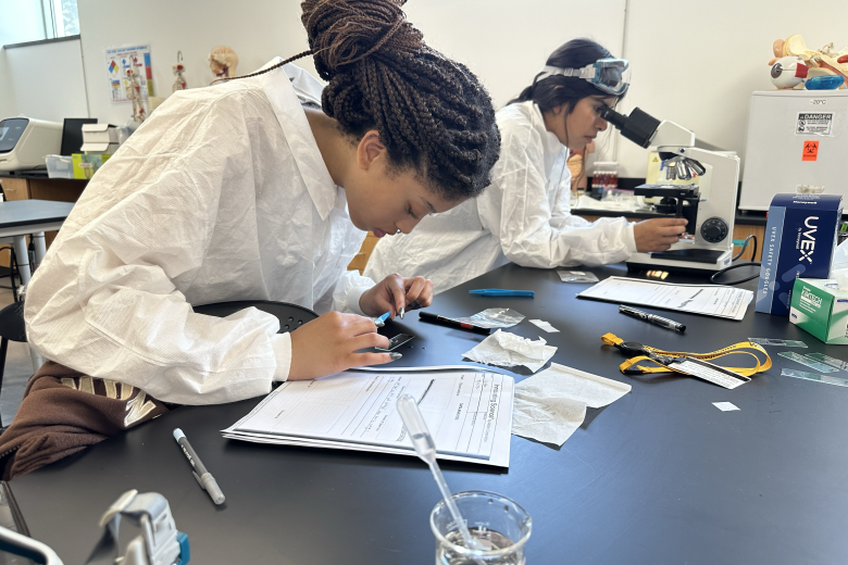 students working in lab on experiment 