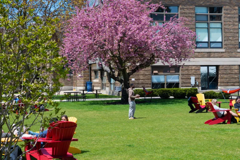 wentworth quad in spring