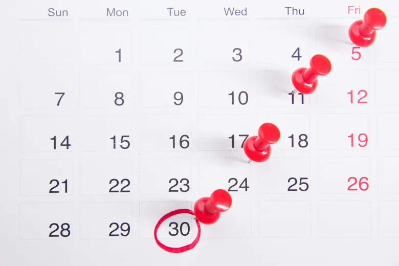Calendar with push pins