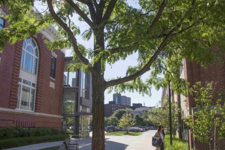 woman walking among trees and brick buildings