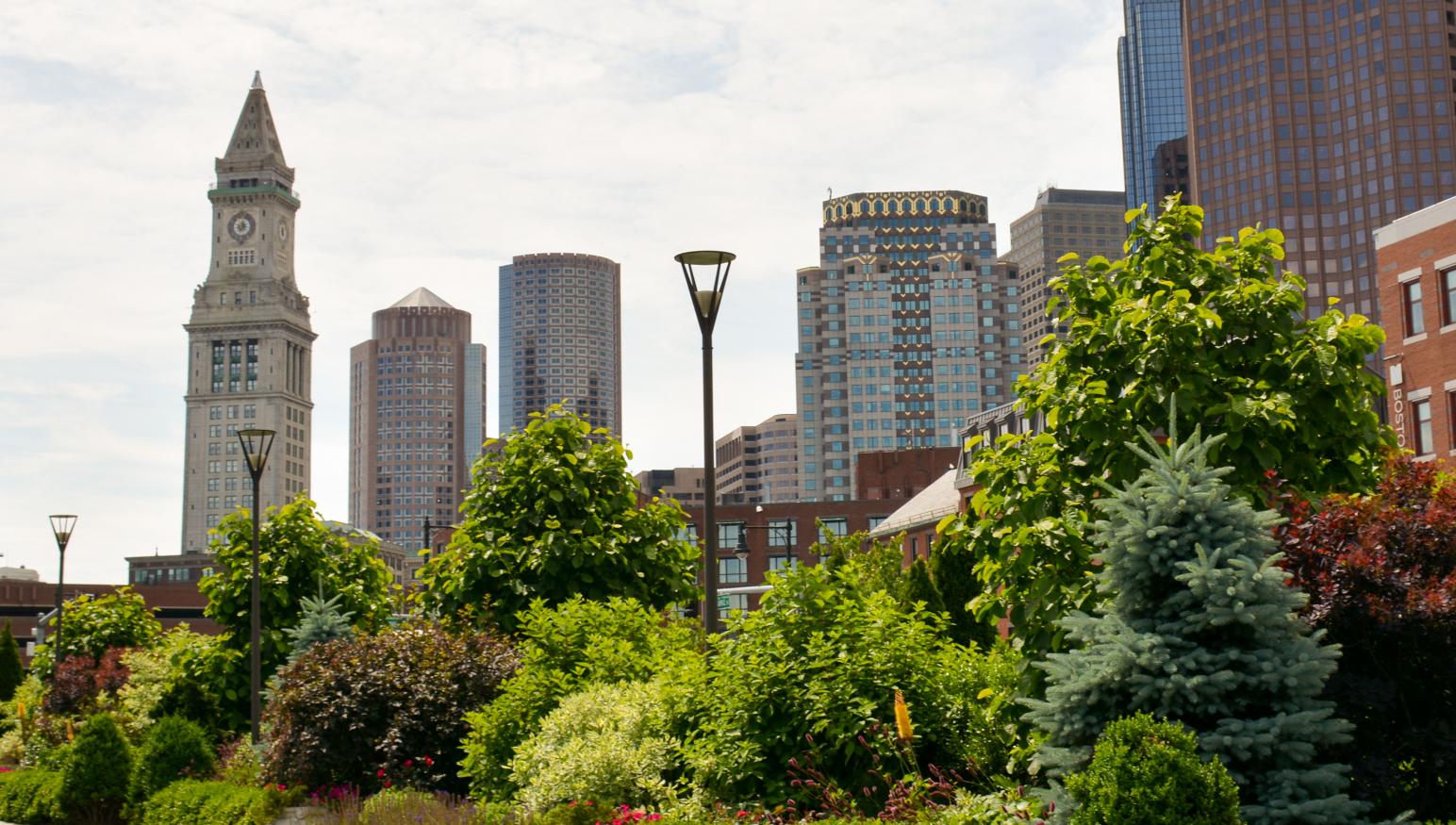 A few iconic Boston buildings pictured behind a garden