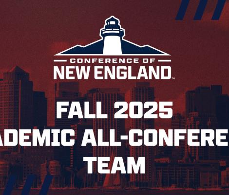 graphic showing a logo reading "CNE"