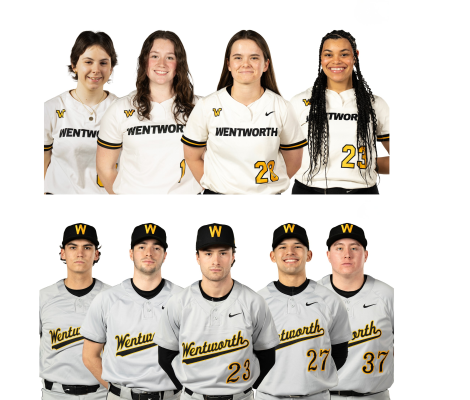 a collage of baseball and softball players in uniform