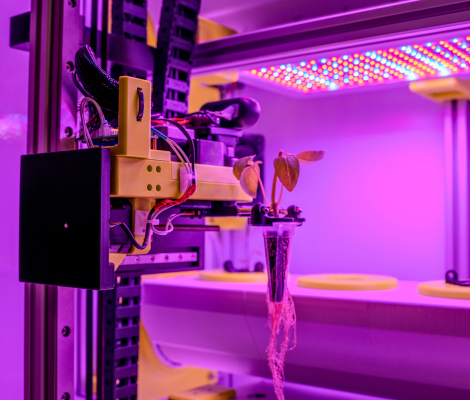 a vertical farm device showing a growing carrot