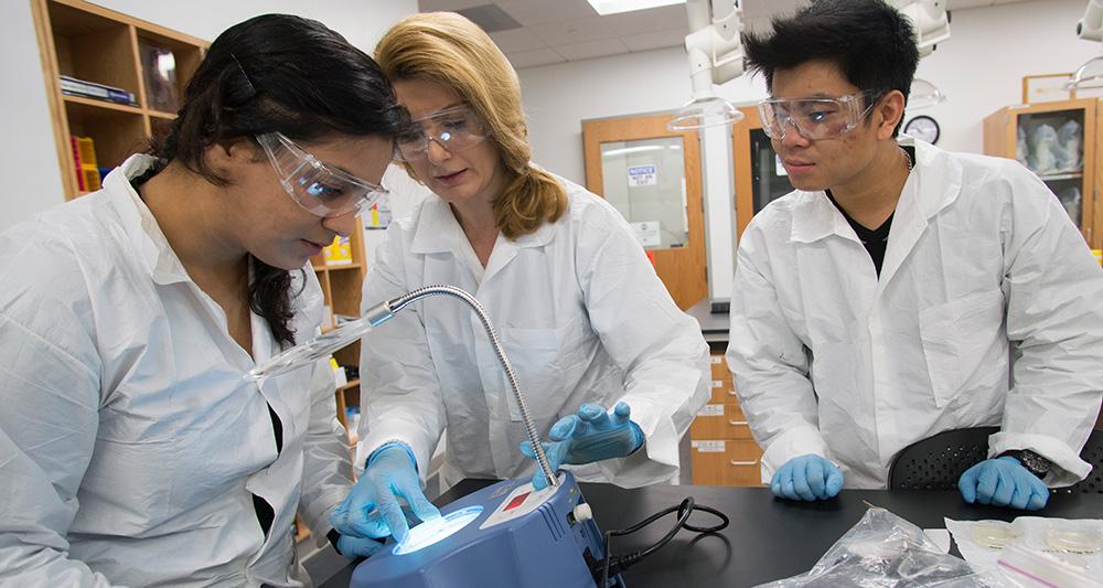 Instructor helps biomedical engineering students read lab equipment.