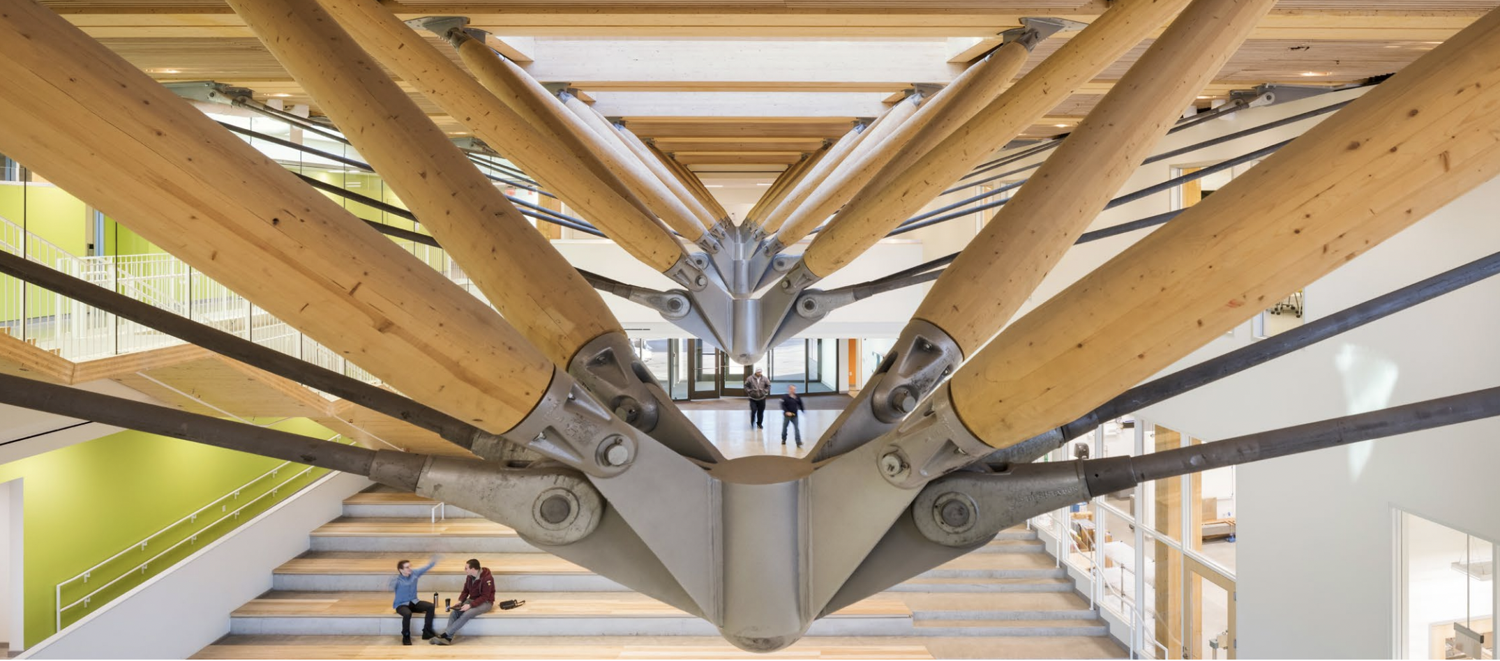 rendering of mass timber in a building