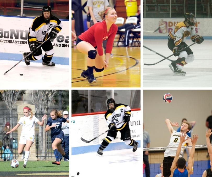 collage of athletes playing various sports