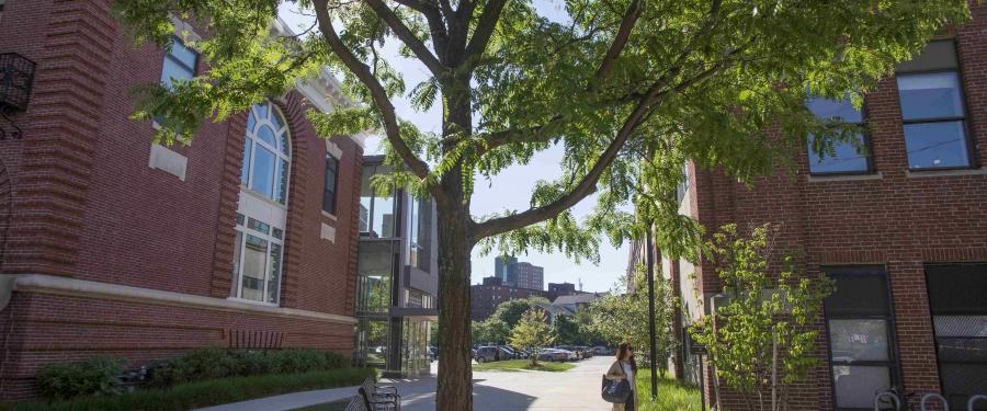 woman walking among trees and brick buildings