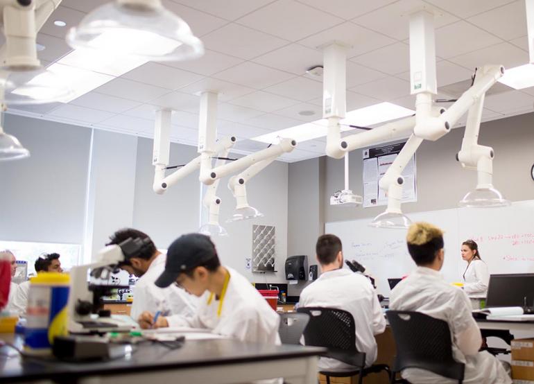 Students in science lab