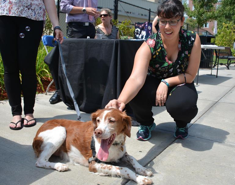 Tucker from Tuesdays with Tucker stress management workshops.