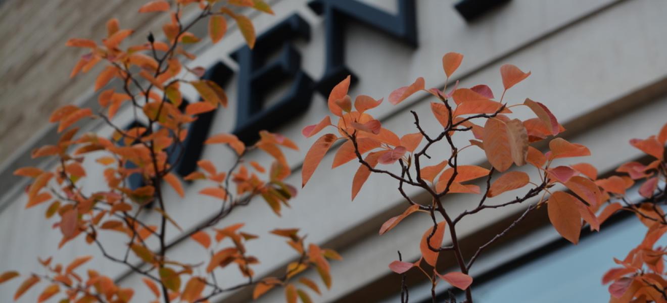 Exterior of residence hall framed by autumn leaves.  