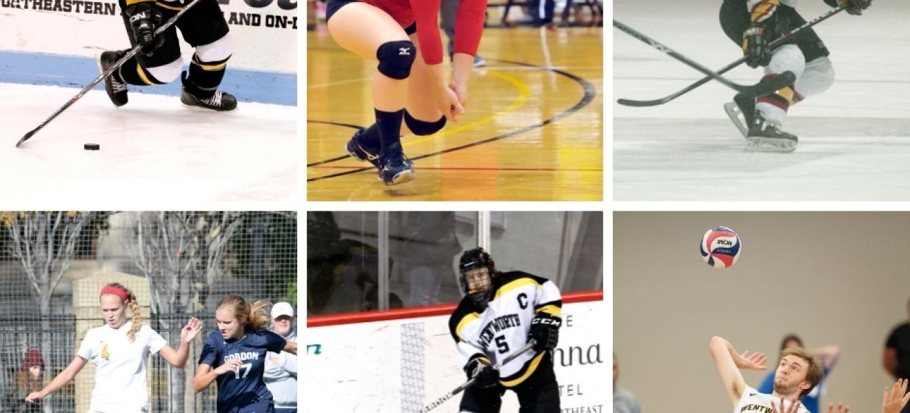 collage of athletes playing various sports