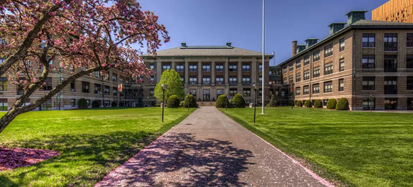 Summer Research Institute in Math & Computing