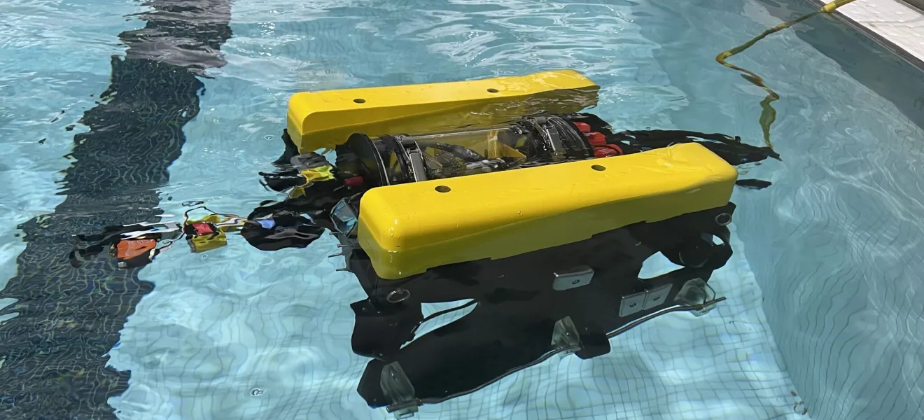robot in a pool