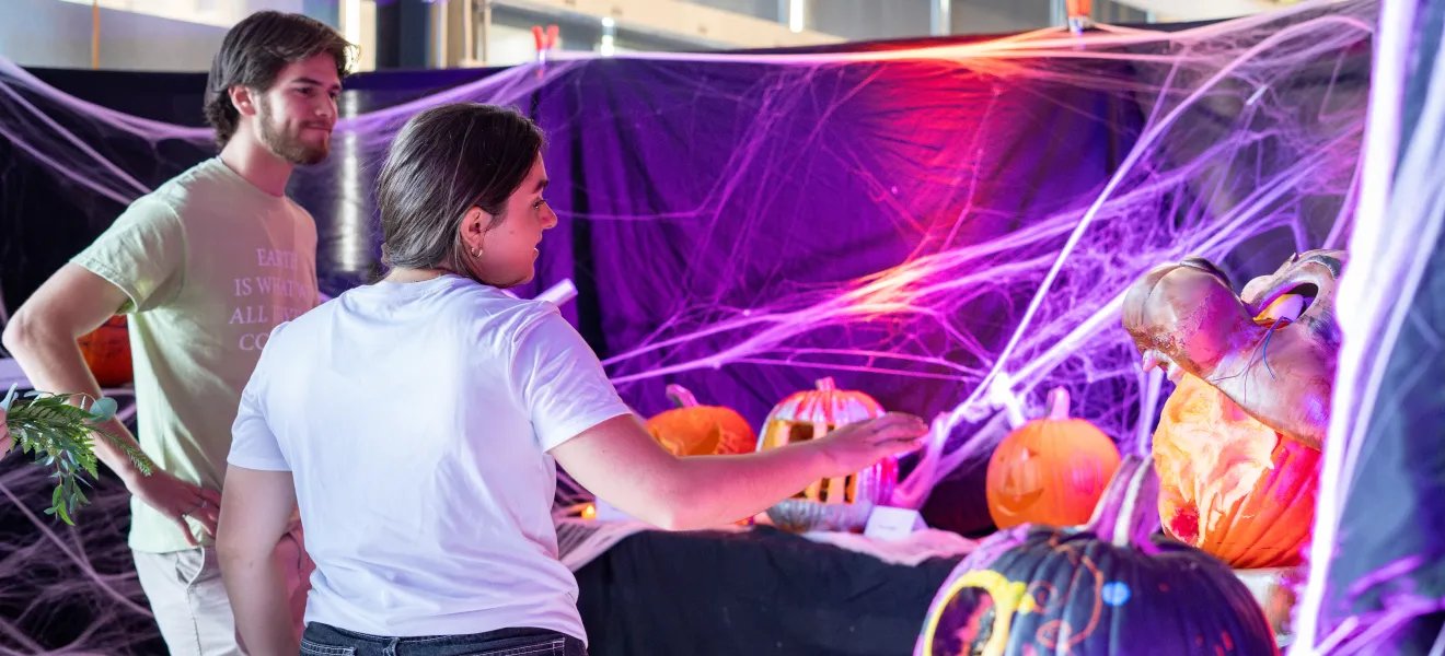 people observing carved pumpkins