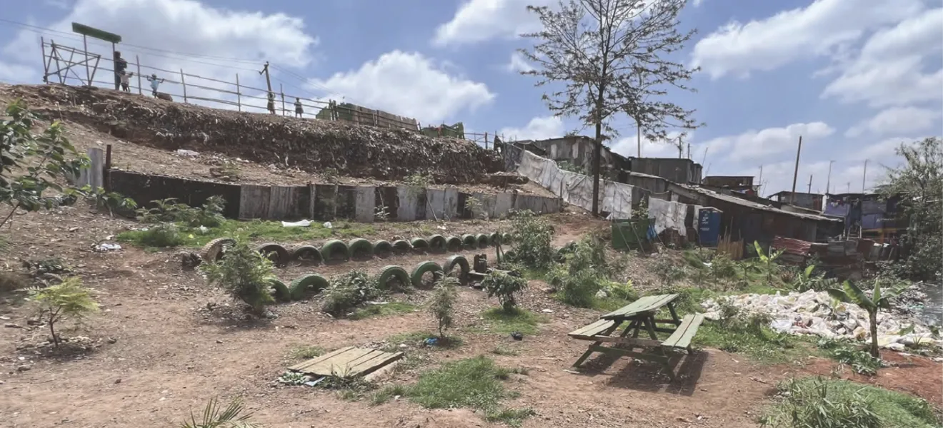 landscape picture of trees and buildings