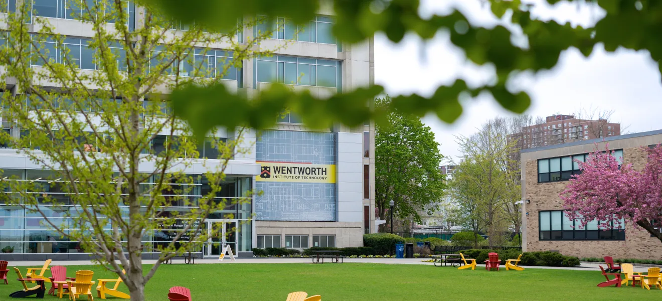 university campus with green grass and trees
