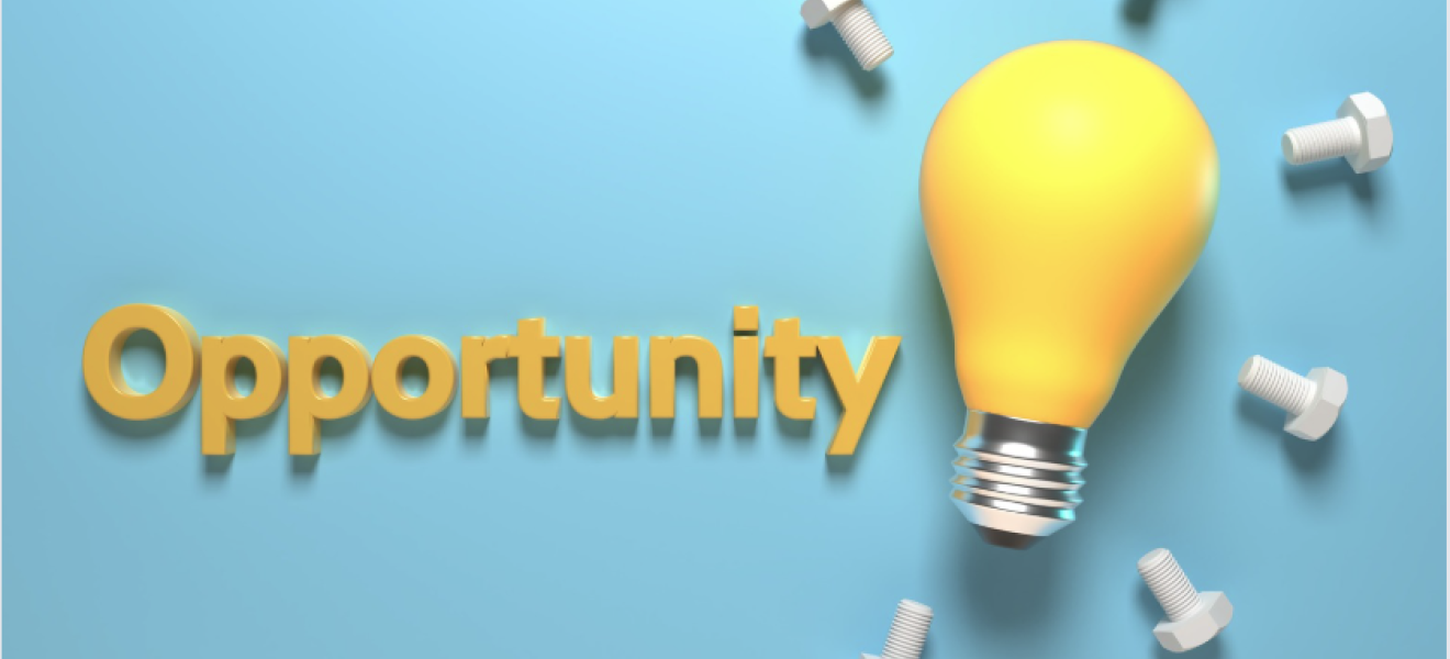 a lightbulb next to the word 'opportunity'