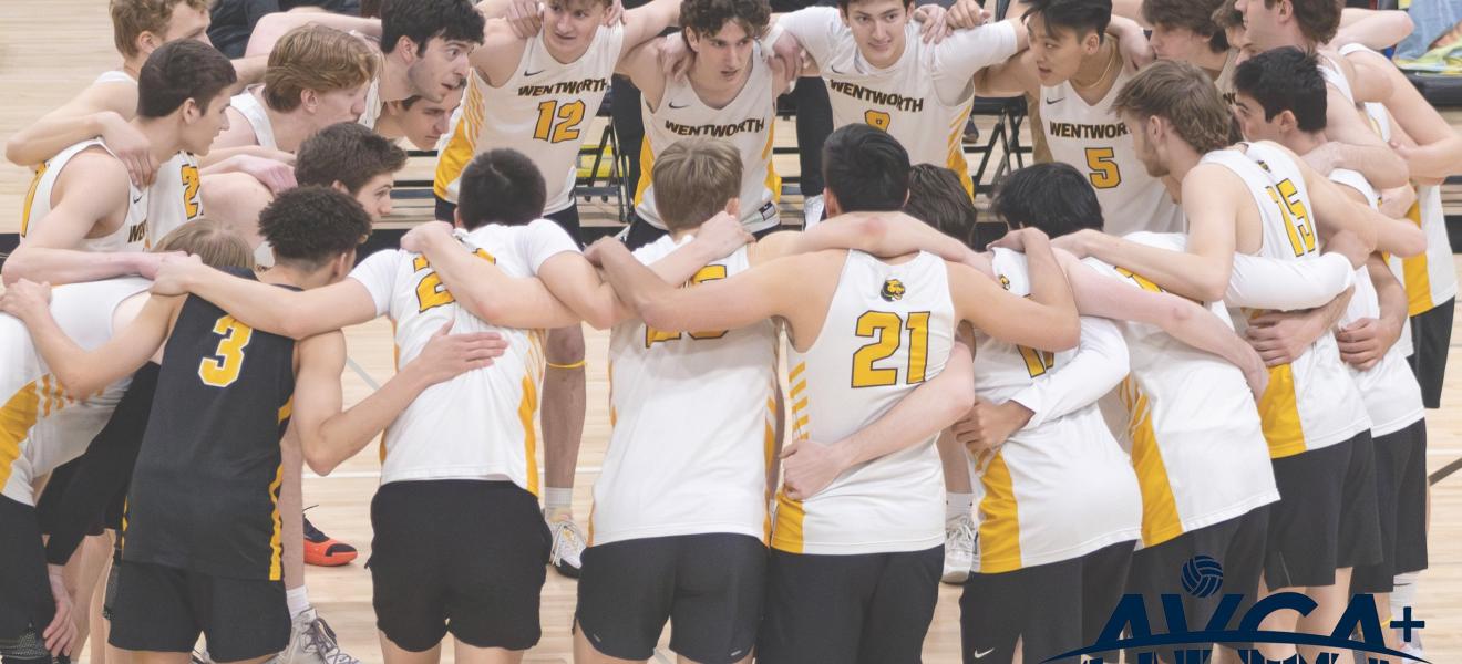 a volleyball team on the court