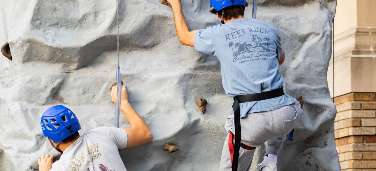 students on a rock climbing wall