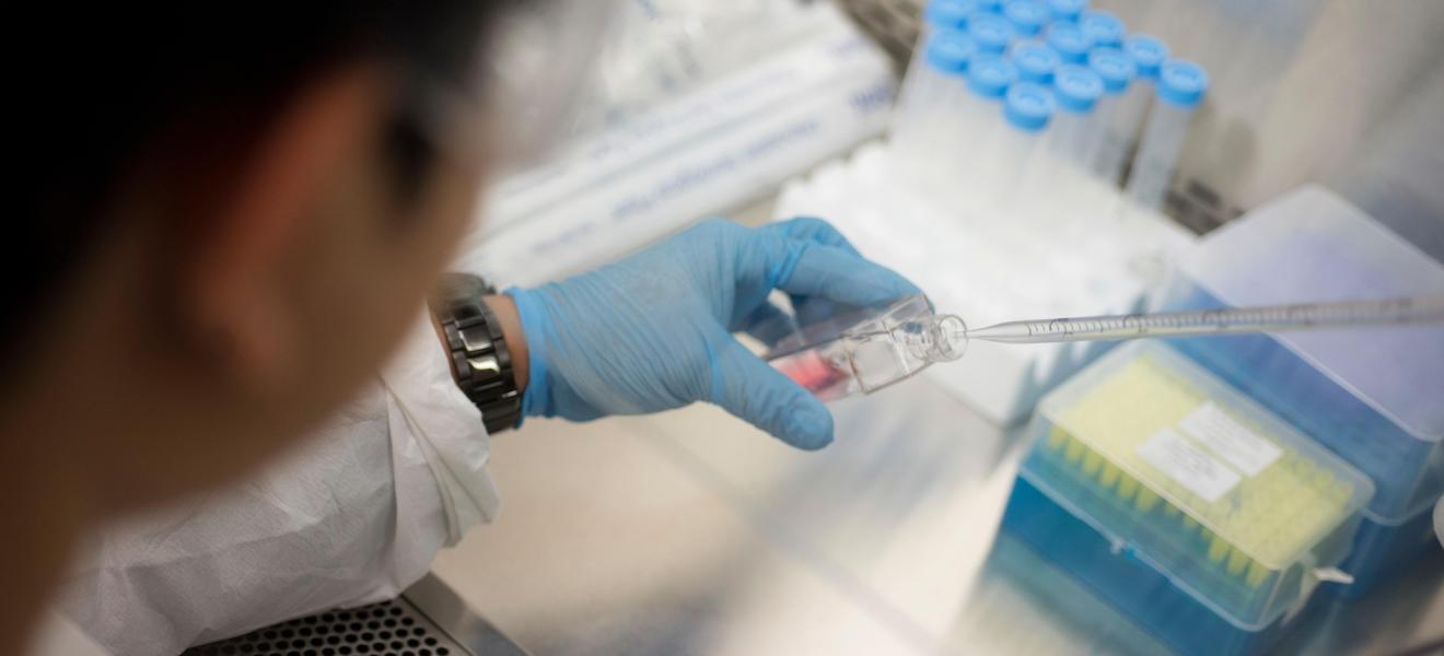 working in a bio lab