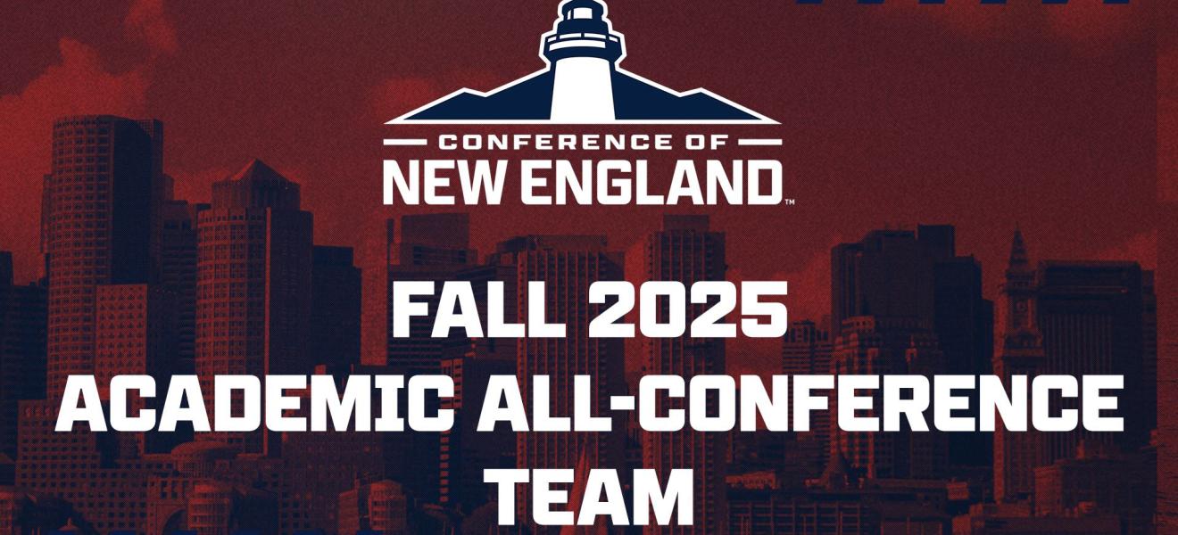 graphic showing a logo reading "CNE"