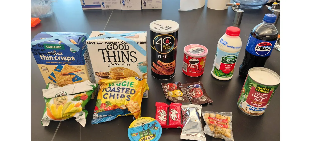 an array of snack foods on a table