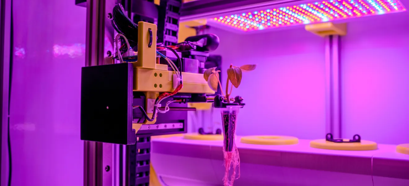 a vertical farm device showing a growing carrot