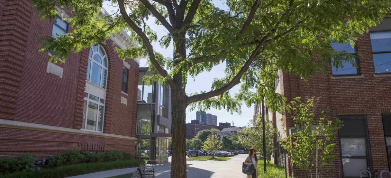 woman walking among trees and brick buildings